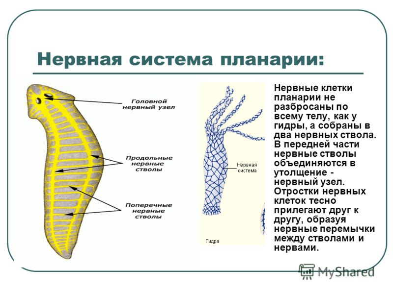 Как открыть кракен
