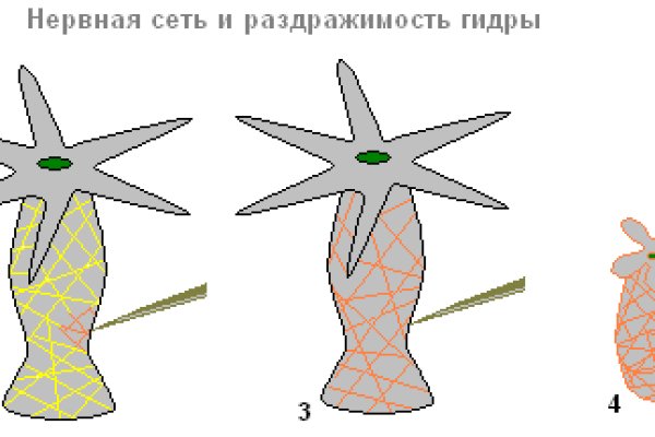 Кракен сайт закладок