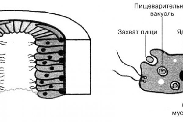 Кракен нрк