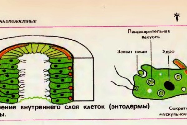 Что с кракеном сайт