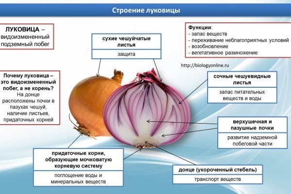 Кракен даркнет ссылка зеркало