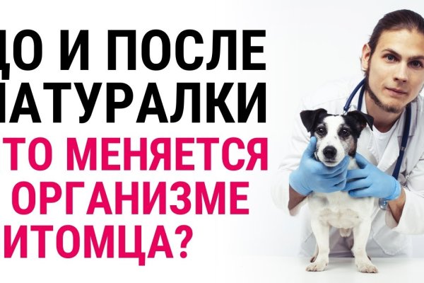 Правильная ссылка онион кракен