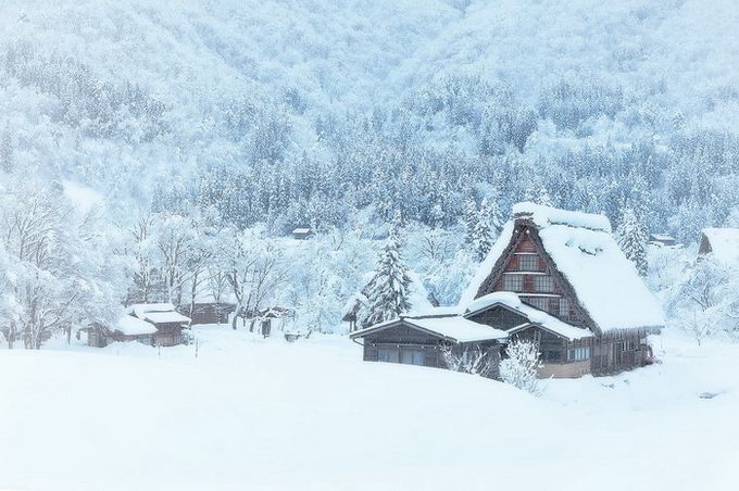 Кракен личный кабинет